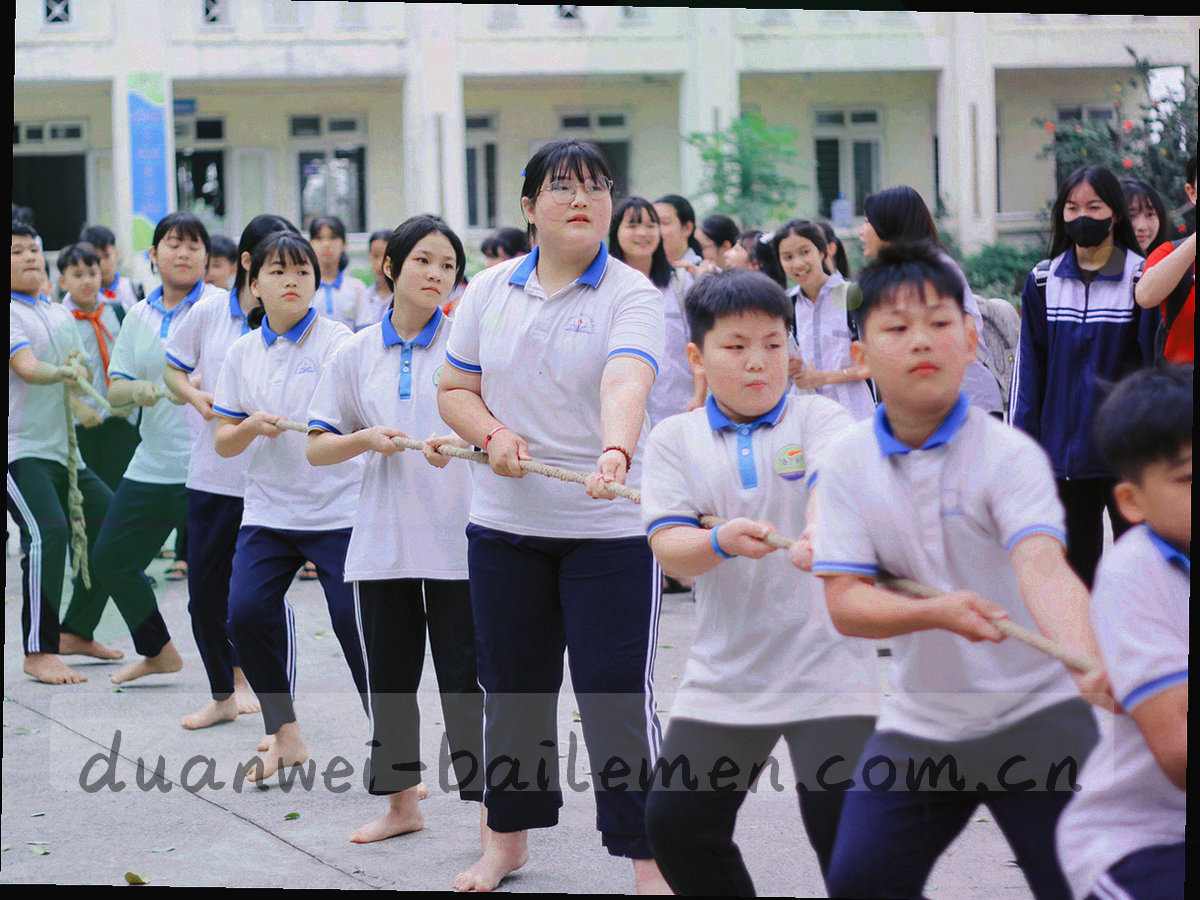 会员中心段位分数仪表盘展示七级段位徽章与各自积分区间
